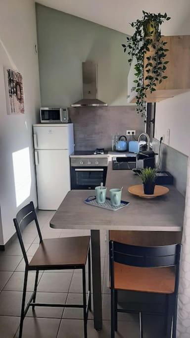 Toulouse Charmant T3 Ponts Jumeaux Avec Terrasse Apartment Exterior photo